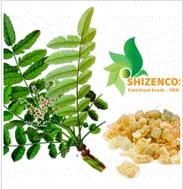Chiết xuất cây nhũ hương - Gia công Mỹ Phẩm - Thực Phẩm Chức Năng SHIZENCOS <br> Công Ty TNHH Hóa Dược Shizencos
